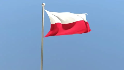 Polish flag on flagpole. Poland flag fluttering in the wind.	 Stock Footage 168476822