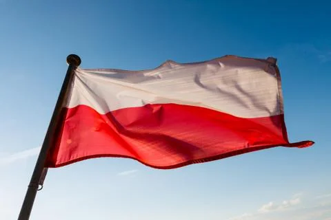 Polish flag 写真素材