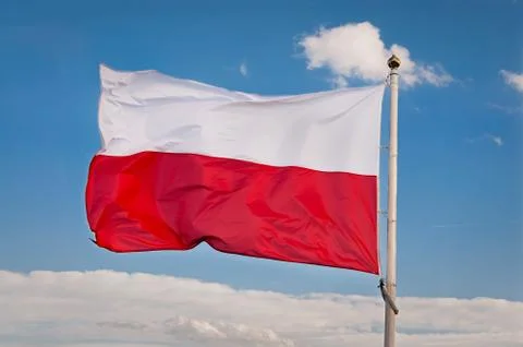 Polish flag Stock Photos