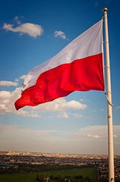 Polish flag Stock Photos