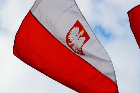 Polish flag Stock Photos