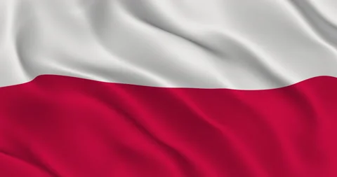 Polish Flag Seamless Smooth Waving Animation. Symbol of the Republic of Poland Stock Footage 154572912