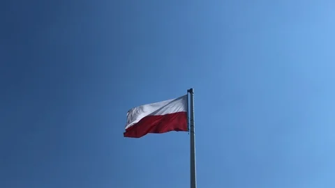 Polish flag waving at blue background Stock Footage 109117119