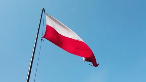 Polish flag waving on pole against clear blue sky during daytime Video stock 342019201