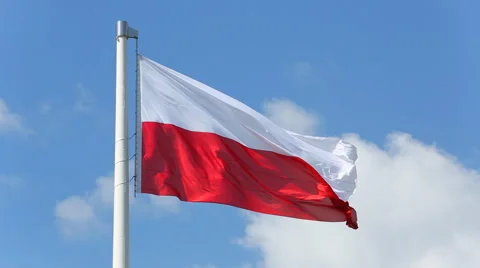 Polish flag waving in the wind Stock Footage 50240471