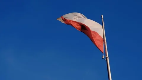Polish flag waving in the wind Video stock 98418233