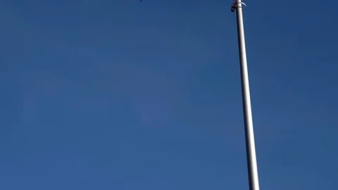 Polish flag waving in the wind Stock Footage 98419148