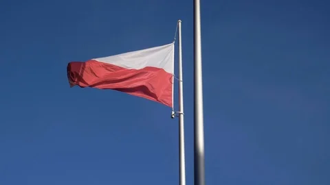 Polish flag waving in the wind Stock Footage 98703258