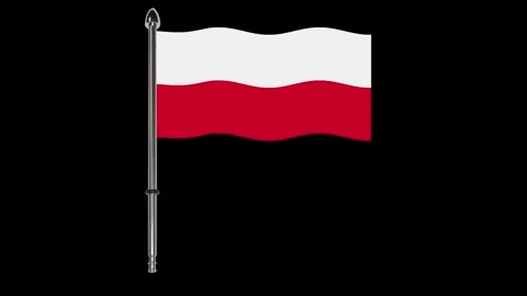 Polish flag waving in the wind. Stock Footage 340324017