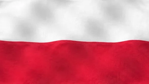 Polish flag waving in the wind Stock Footage 340523244