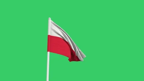 Polish flag waving in the wind on a green screen background Stock Footage 281293986