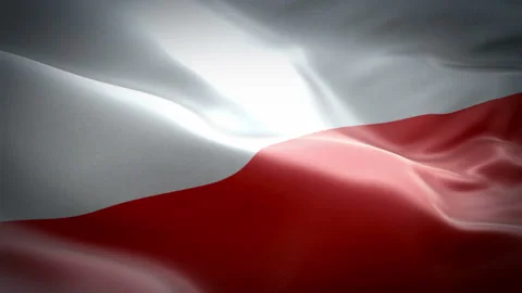 Polish flag waving in wind video footage Full HD. Realistic Polish Flag Stock Footage 97699987