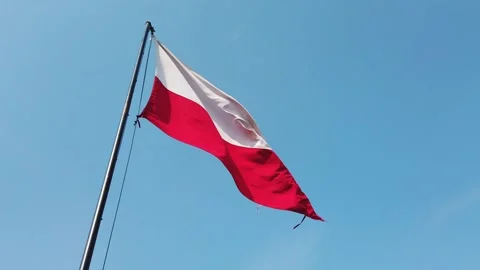 Polish flag, wind and blue sky. Stock Footage 133801604