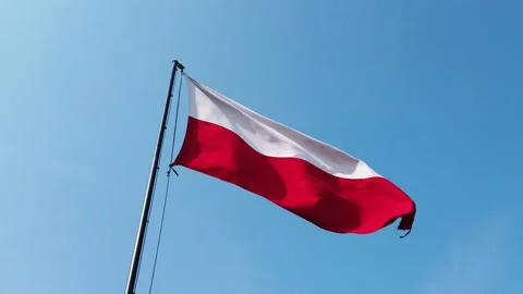Polish flag, wind and blue sky. Stock Footage 133808979