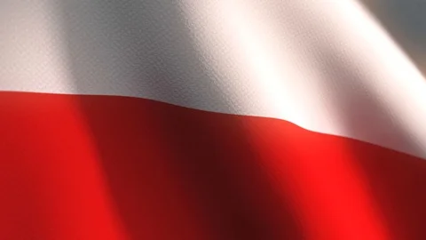Polish flag on wind - animated background Stock Footage 97683569