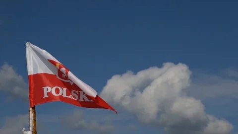 Polish flag in the wind Stock-Footage 101740334