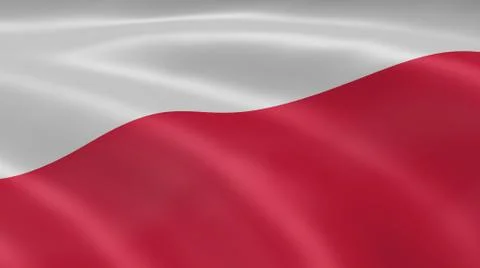 Polish flag in the wind 写真素材