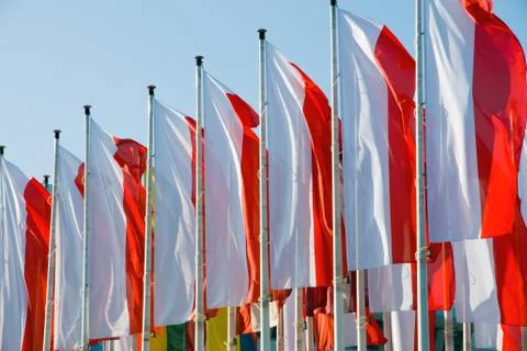 Polish flags Foto stock