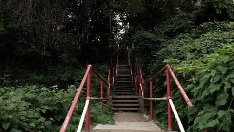 Polish Hill Step in East End Pittsburgh Stock Footage 284980509