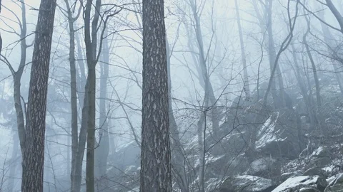 Polish mountains winter time Видео 85488640