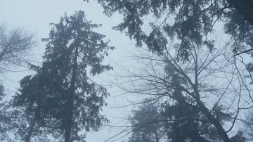 Polish mountains winter time Видео 85507738