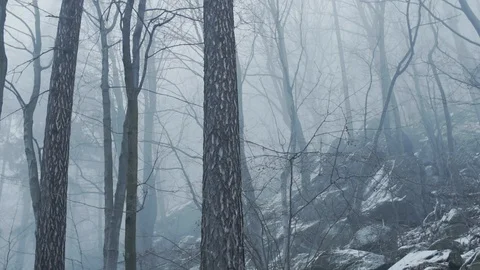 Polish mountains winter time Видео 85512065