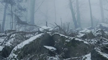 Polish mountains winter time Видео 85514186