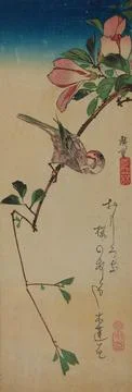 Polish Museums, 18th-20th ct, Parrot on a twig of flowering camelIIas 스톡 사진
