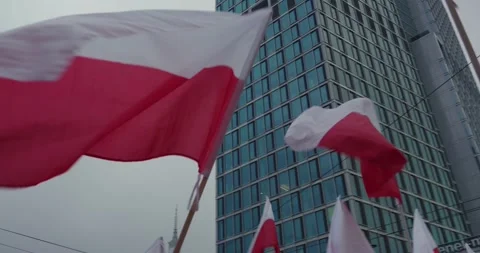 Polish red and white flags. National Independence Day in Poland. Stock Footage 255517191