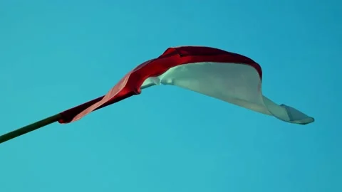 Polish red white flag on blue sky background Stock Footage 197014069