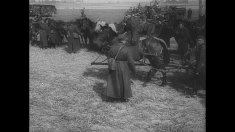 Polish soldiers in fields Stock Footage 103390011