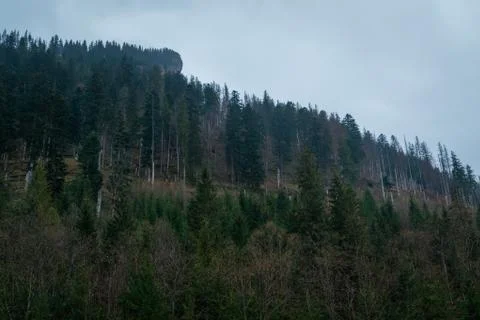 Polish Tatra mountains Stock Photos