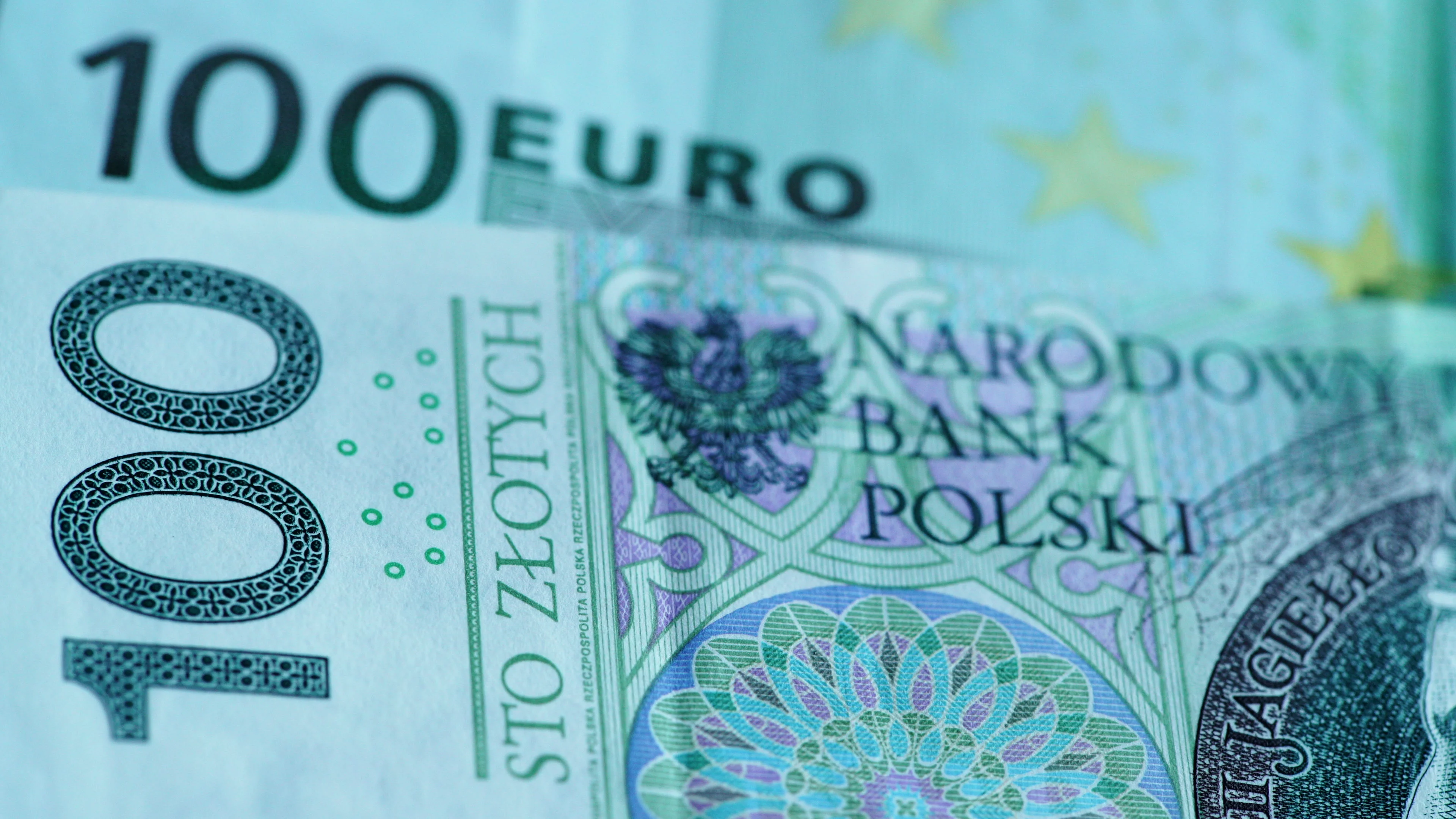 Polish zloty and euro banknotes backgrou... | Stock Video | Pond5