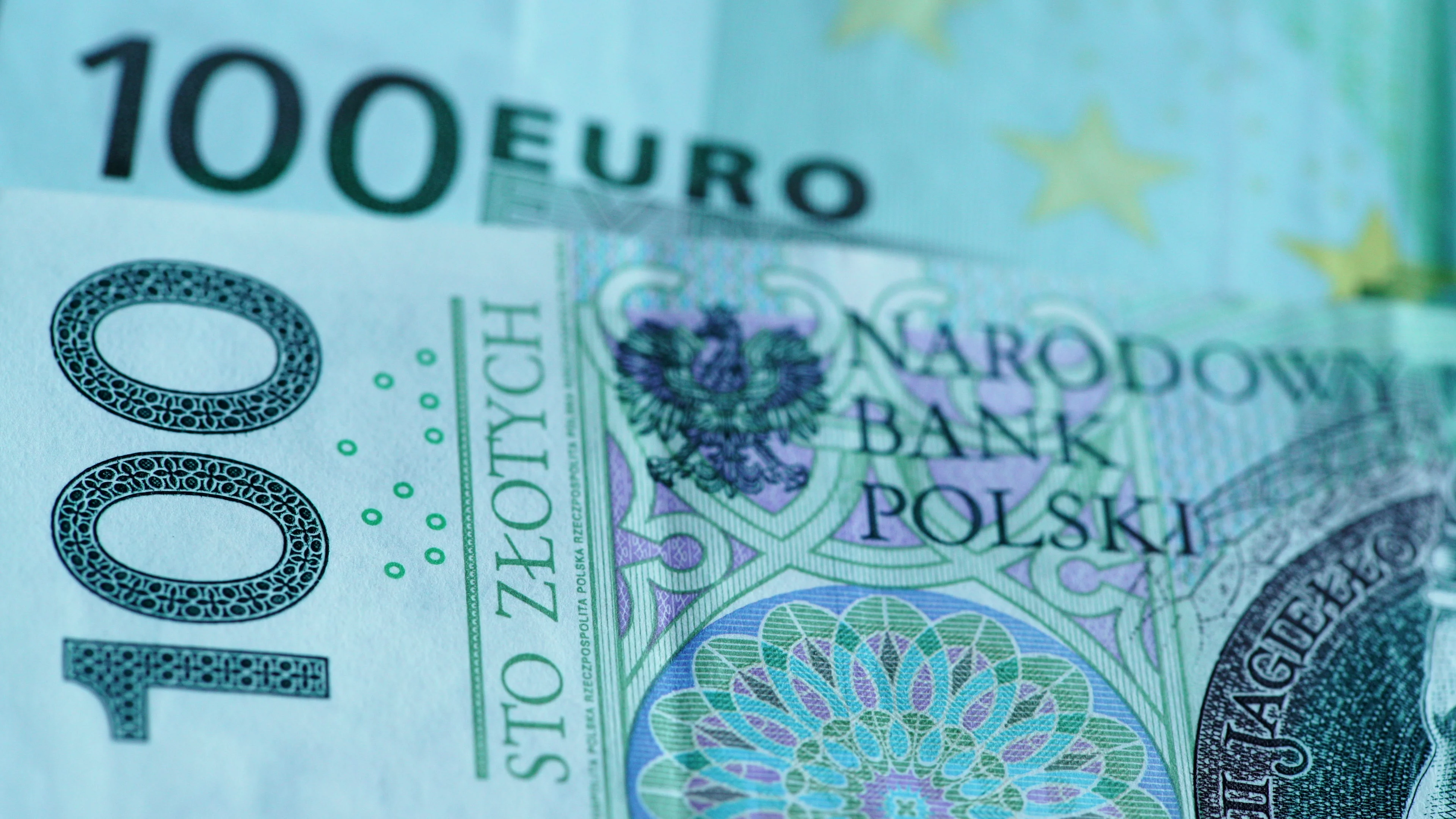 360-pln-zloty-to-euro-cheapest-shops-www-gbu-presnenskij-ru