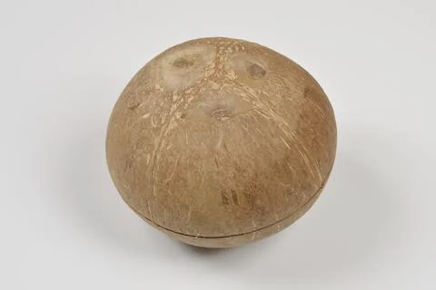 Polished Coconut Shell Box with Opening Line Stock Photos