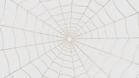 Polished golden spider web in a looping 3D animation Stock Footage 346616882