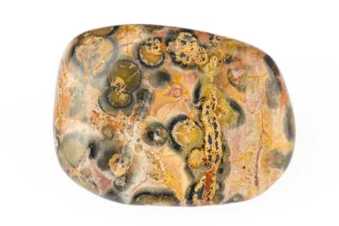 Polished Jasper Foto stock