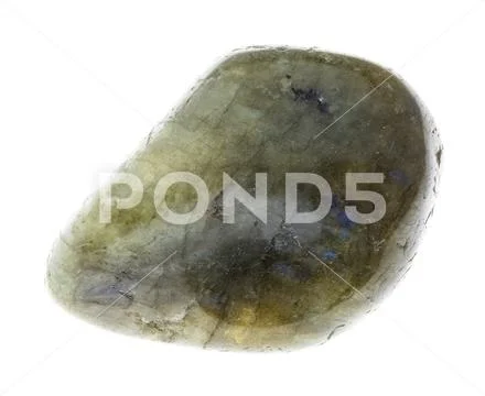 Polished labradorite (labrador) gemstone on white Stock Photos