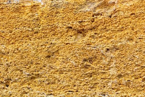 Polished limestone slab with different shell marks. Shell rock texture. Stock Photos