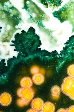 Polished ocean jasper Foto stock