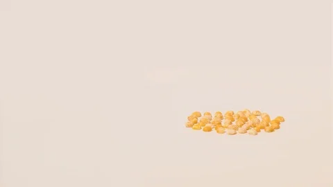 Polished Split peas on a white background Stock Footage 118722131