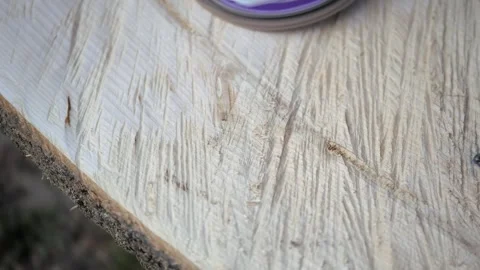 Polishing wood. Processing of logs using a grinding machine. Carpentry work Stock Footage 318181748