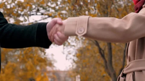 Polite handshake between man and woman at business meeting in autumn park Stock Footage 255862810