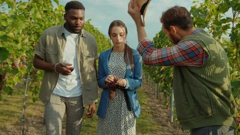 Polite winemaker welcoming guests at vineyard guiding excursion for romantic Stock Footage 117254384