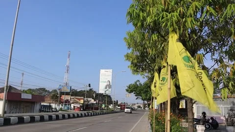 Political party flags Stock Footage 289163152