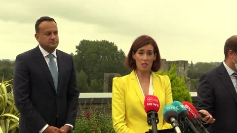 Politicians react with anger over Irish Mail On Sunday newspaper article Video stock 160758088