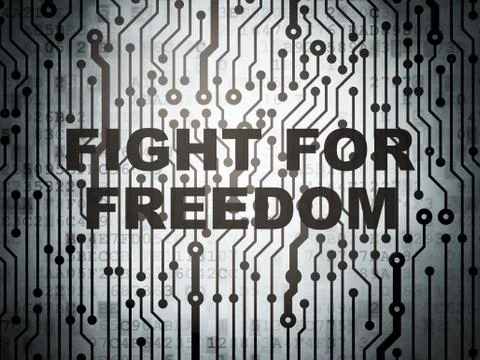 Politics concept: circuit board with Fight For Freedom Illustrazione stock