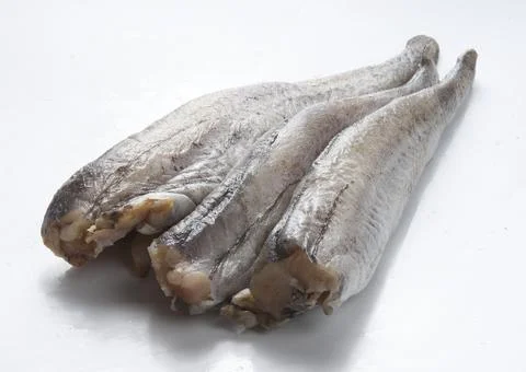 Pollack Stock Photos