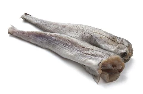 Pollack Stock Photos