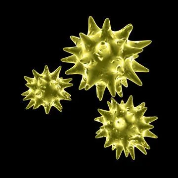 Pollen 3D Model